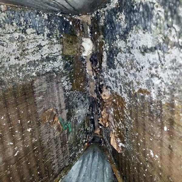 Lack of Maintenance Can Be Costly